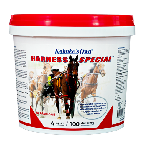 Harness Special