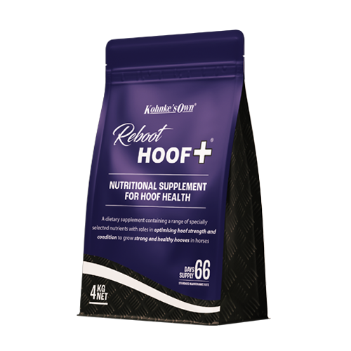 Reboot HOOF +