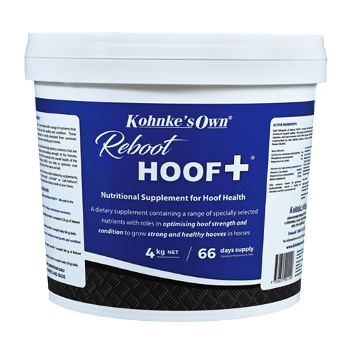 Reboot HOOF +
