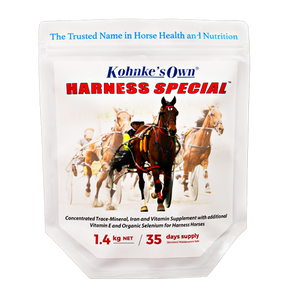 Harness Special