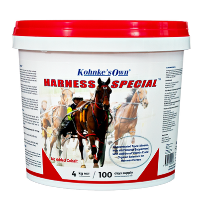 Harness Special