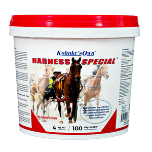 Harness Special