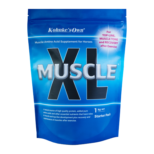 Muscle XL