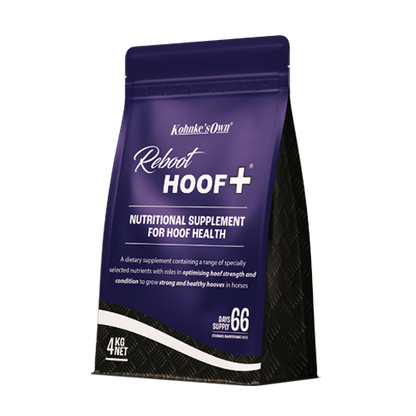 Reboot HOOF +