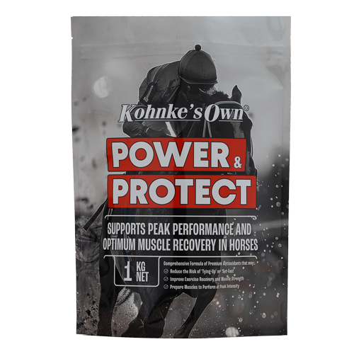 Power and Protect
