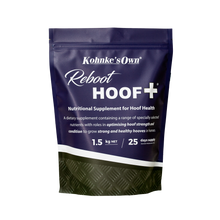 Reboot HOOF +