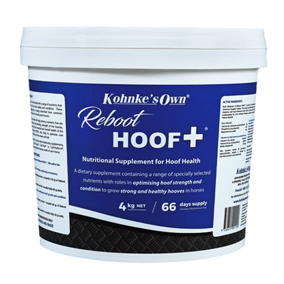 Reboot HOOF +