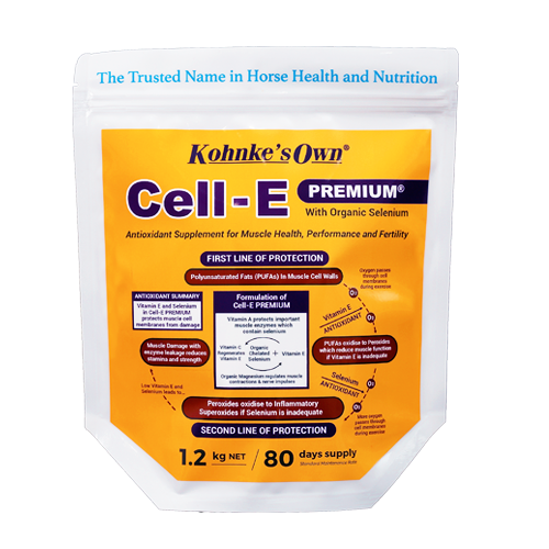 Cell-E Premium 1.2 kg
