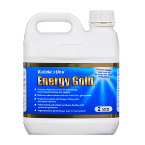 Energy Gold 2 L