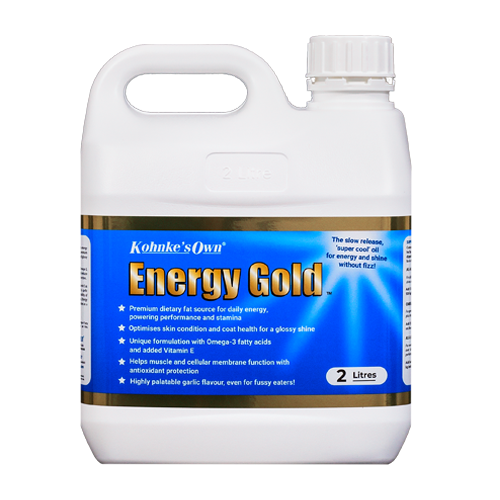 Energy Gold 2 L
